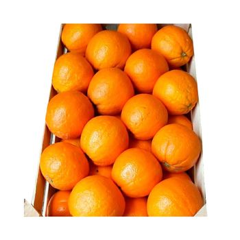 Fresh Mandarin Type Orange Style Fresh Maturity 0.9 Weight 10 Kg Size 7-10 Cm Color Orange Calibre 1 2 3 Model Number 4 Content Orange - SOURCE GLOBAL TRADING GROUP - South Africa