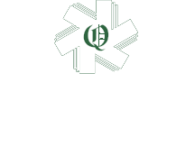A ONE QUALITY EXPORTS