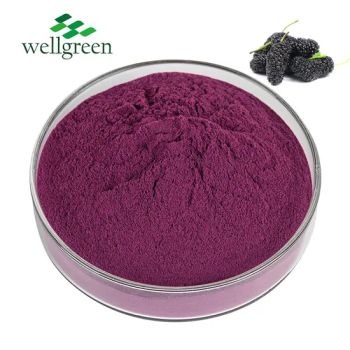 High Quality Mulberry Fruit Powder 25% Anthocyanins Mulberry Extract Juice Powder - Wellgreen Technology Co., Ltd - China