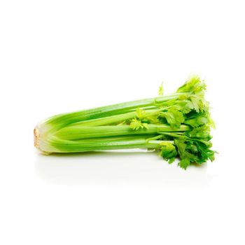 Fresh Celery Leeks / Celery / Fresh Exotic Vegetables Grade Top Type Celery Texture Fresh Packaging Bulk Flavor Aromatic - afrivett@gmail.com - South Africa
