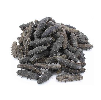 Hot Selling Price Dried Sea Cucumber (Seafood) in Bulk Form Whole Organic No Origin Worldwide Delivery Form Other - Exigentelaxia Unipessoal Lda - Portugal