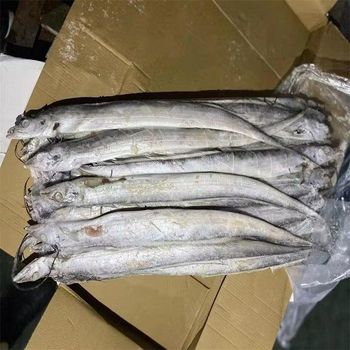 Bulk Supply Frozen Ribbon Fish Wholesale Price Nutritious Top Grade Low-Sugar Trans-Fat Free Vacuum Pack Whole - TRADECENTRIC LLC - United States