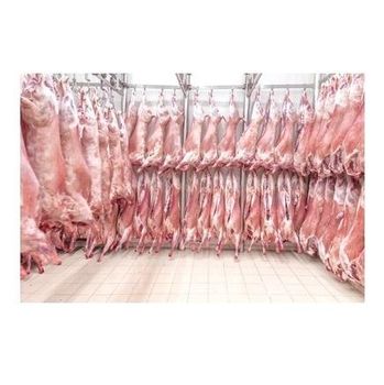  LAMB MEAT CARCASS FOR SALE AT WHOLESALE PRICES IN BULK -  CALIPSO POLSKA SP Z OO  - Poland