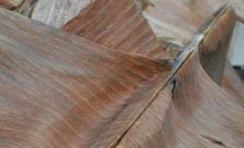 Dried banana leaves Features Organic Packaging Natural Produk Origin Asia, Indonesia, Other Product Type Vegetarian & Vegan Products - Imam Khoirul - Indonesia