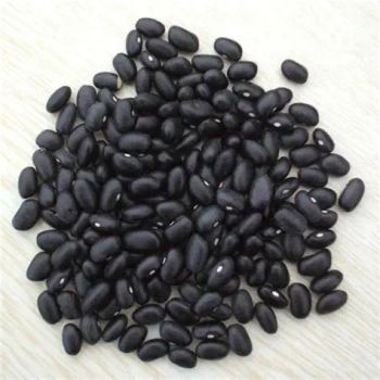 Black Kidney Beans In Bulk for sale Whole Black Urad Beans, High in Protein - Balingi Trading Company (PTY) Ltd - South Africa