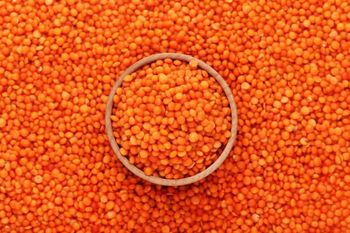 Premium Red Lentils (Whole & Split) – Food Grade, Export Quality | Bulk Supply - Trapani Global Trade B.V. - United States
