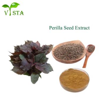 High Quality Herbal Extract 10: 1 Perilla Seed Powder Perilla Seed Extract - Qingdao Vista Bio. Tech. Co., Ltd - China