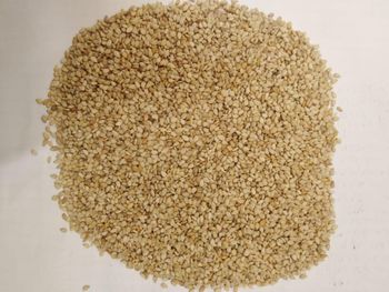 Egyptian white sesame seeds - grade C from Green Roots Company Egyptian white sesame seeds - grade C - Green Roots Company - Egypt