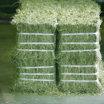 Rhode grass and wheatstraw – product photo, Hay products found from trusted suppliers, wholesalers, manufacturers & exporters Listing