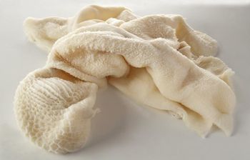 Premium Frozen Beef Tripe Ready For Restaurants Food Service And Wholesale Supply With Fresh Quality - CPW TRADE LTD - United Kingdom