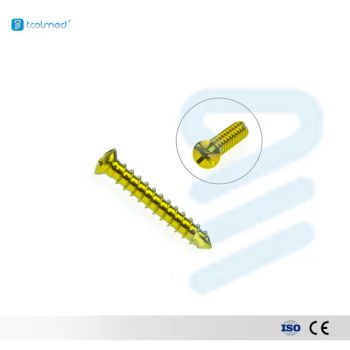 Maxillofacial Surgery Instruments Orthopedic Implants Titanium 2.4mm Self-Tapping Screw for Facial Surgery - Changzhou Toolmed Medical Instruments Co., Ltd. - China