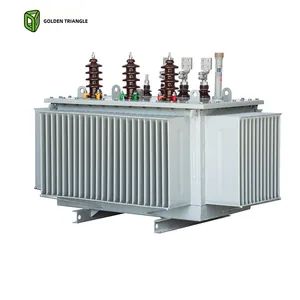 110kv Power Transformer for High Voltage Applications Origin China Low Voltage 0.4 Shape of Core Ring No Load Loss - Golden Triangle Electric Power Technology Co., Ltd. - China