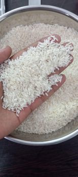 Basmati and non basmati - Daksha global exports Pvt ltd - India