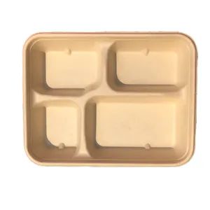 100% Compostable Paper Plate Disposable Lunch Trays for Cafeteria Compartment - HUNAN TONGDA BAMBOO INDUSTRY TECHNOLOGY CO., LTD - China