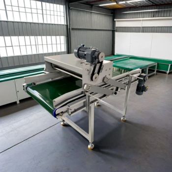 Electronic Bag Flattening Conveyor Bag Pressing Shaping Conveyor Machine - Shanghai Bodinghui Automation Machinery Co., Ltd. - China
