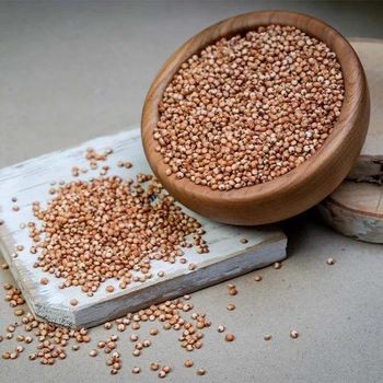 Sorghum seeds -  DAEWKAEW PANTAMANG Co., Ltd - Thailand