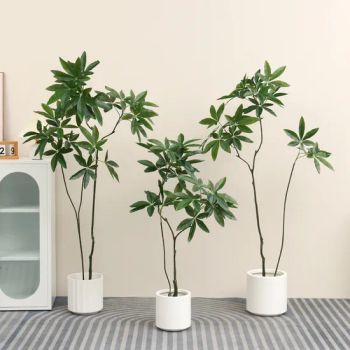 Large Artificial Green Plants in The Living Room and Exquisite Artificial Trees in The Office - Xiamen Tingtao Shuo Trading Co., Ltd. - China
