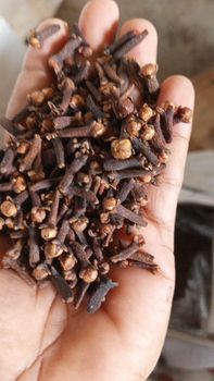 Kerala Cloves Origin - Kerala, India Quality Grade - 1st grade Storage - Normal Container Packaging Terms - 20 Kg Carton Minimum Order - 500Kg - KSAR Inforcement (OPC) Private Limited - India
