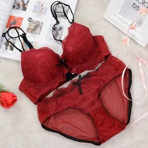 Wholesale Sexy Lace Sexy Gathering Adjustable Lingerie Ladies Bra Sets - Putian GM Industry Co., Ltd. - China