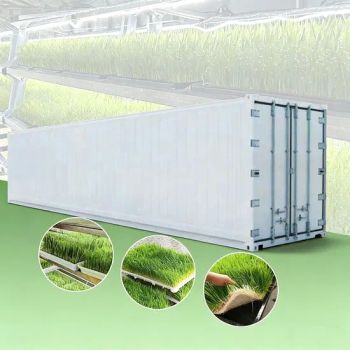 Automated Indoor Farming System Hydroponic Barley Grass Fodder Growing Container Farm - Shouguang Esen Wood Co., Ltd. - China