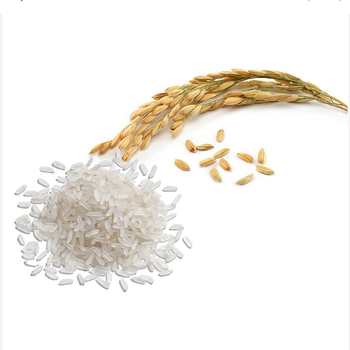 Premium Thai Hom Mali Rice Naturally Fragrant Long Grain For Everyday Family Meals - TRADECENTRIC LLC - United States