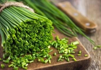 Fresh Herbs : Basil,Chives,Tarragon,Rosemary - Nutri Concepts Ltd - Kenya