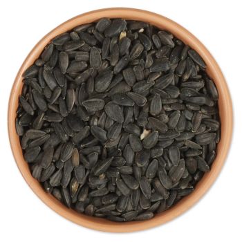 Wholesale Sunflower Seeds Kernels Small Black Oil Sunflower Seeds for Bird Feeding - VERTEX TRADING LIMITED - United Kingdom
