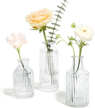 Vintage Mini Ribbed Vases Glass Vases Set - Market Union Co. Ltd. - China