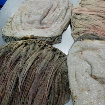 High Quality HALAL Frozen Beef Omasum Bulk Salted Beef and Dry Omasum for Sale High End Frozen Beef Tripe - PK Luxuries  - United States