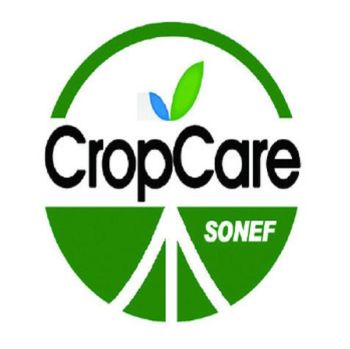 Product - Qingdao Sonef Chemical Company Limited - China