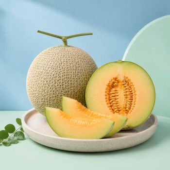 Melon Aroma Fresh Organic Yes Texture Tender Form Whole Fruit Type Fresh Melon Origin Indonesia Brix Level 10–14%% Water Content High - PT Sumber Niaga Alam Sejahtera - Indonesia