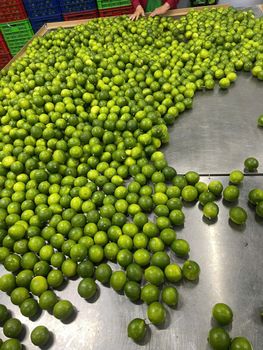 Fresh Seedless lime Storage Humidity 85 – 90% Storage Temperature 5 – 8°c Fruits Per Box 35 – 40 Fruits Depending On - DDM INTERNATIONAL TRADING COMPANY LIMITED - Vietnam