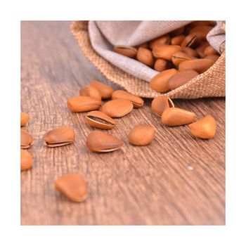 Premium Pecan nuts bulk supply wholesale fast delivery top grade - AMAC GOLD AND DIAMOND METALS SUPPLIER - Germany