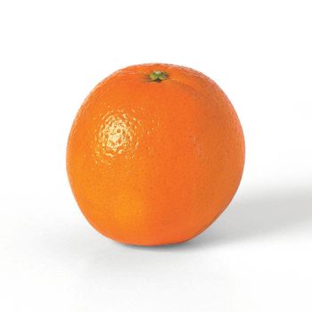 Fresh Navel Orange from Chile - Agrocal Export - Chile