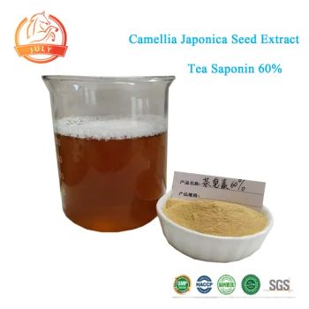 Camellia Seed Extract Tea Saponin 60% Powder Food Medicine Grade White 1kg/Bag 60% HPLC ROHS BRC HACCP - Hefei July Biotechnology Co., Ltd. - China
