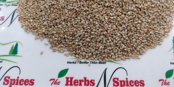 white Sesame Seeds Color White Seed Type Sesame - Sinhal Herbs  - India
