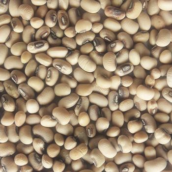 Premium Black Eyed Peas Carefully Selected Black Eyed Peas Full Of Nutrients And Freshness - AGRO AFRIQUE COMPANY LIMITED - Tanzania
