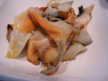 conch meat - JP inst & Services - Curaçao