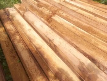 Sawn Iroko Hardwood Timber Planks High Density Durable Wood for Outdoor Decking Interior Joinery Cabinet Making Bulk Supply Sale - AGRONOVA - United States