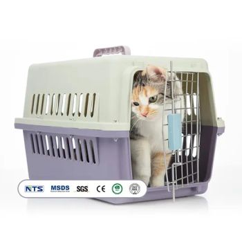 Custom Logo Pet Carriers Various Size Portable Plastic Airline Approved Cat Dog Travel Carriers - Haisen Pet Technology (Inner Mongolia) Co., Ltd. - China