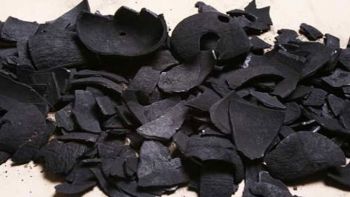 Coconut Shell Charcoal - HOANG NGAN DEVELOPMENT CO.,LTD - Vietnam