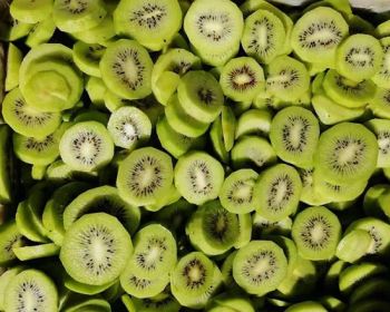 Delicious Frozen Kiwi Fruit Dices with Gogo Trademark Type Kiwi Style Slice Origin China Trademark GOGO HS Code - Jinan Gogo International Trade Co., Ltd. - China