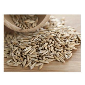 Top Quality Pure Organic Rye Grains For Sale At Cheapest Wholesale Price  -  CALIPSO POLSKA SP Z OO  - Poland