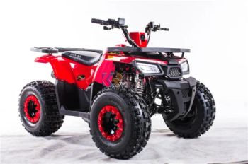 110 125cc Electric ATV Quad 4X4 Gasoline off Road Motorcycle Dirt Bike 4 Wheels Adults Electric Motorcycles Atvs 4 - ZHENGZHOU REALLY IMP. & EXP. CO., LTD. - China