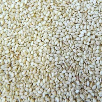 White Hummara sesame seed Organic Yes Origin National - VAX IMPORT AND EXPORT PLC - Ethiopia