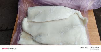 Giant Squid Fillet - Chilean Squid Company SpA - Chile