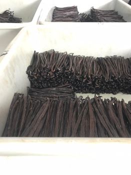 vanilla Beans – product photo, Tahitian Vanilla Beans products found from trusted suppliers, wholesalers, manufacturers & exporters Listing