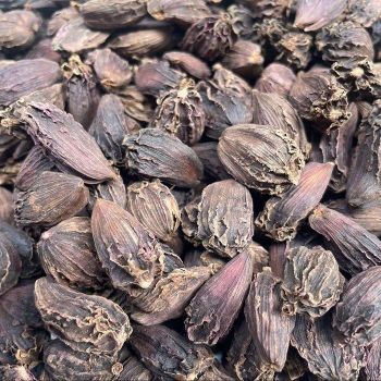 Supplier Spices Wholesale Price High Quality Bulk Stock Dried Black Cardamom - TRADECENTRIC LLC - United States