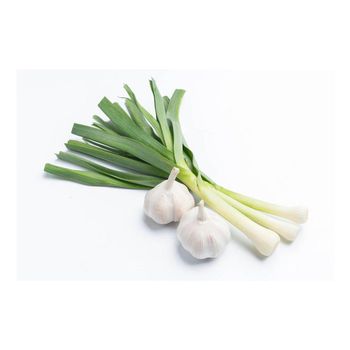 Wholesale Supplier Fresh Peeled Garlic For Sale In Reasonable Price - HIGHPROFILE AGRICULTURE SERVICES LIMITED - Tanzania