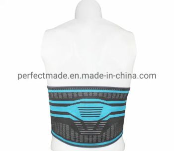 Adjustable Medical Waist Brace Lumbar Support Lumbar Back Support - Changzhou Perfect Import and Export Co., Ltd. - China
